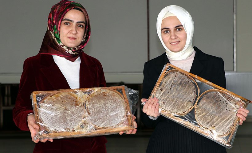 Üniversiteli kız kardeşler bal ihracatına hazırlanıyor