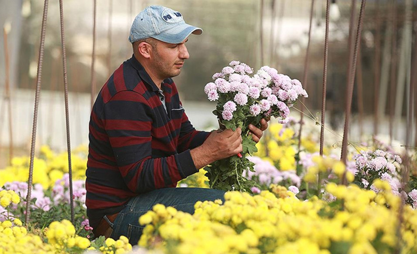Filistinli Mümin, İsrail'in tekeliyle mücadele ediyor