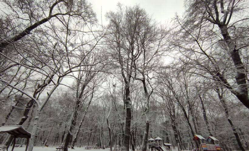 Belgrad Ormanı’nda kartpostallık kar manzaraları