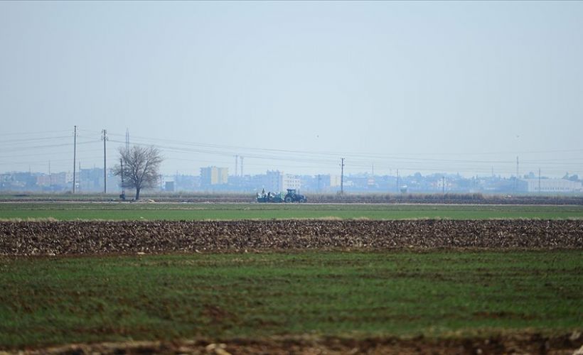 Kuraklık endişesi yaşayan Diyarbakır ve Mardinli çiftçinin yüzü son yağışlarla güldü