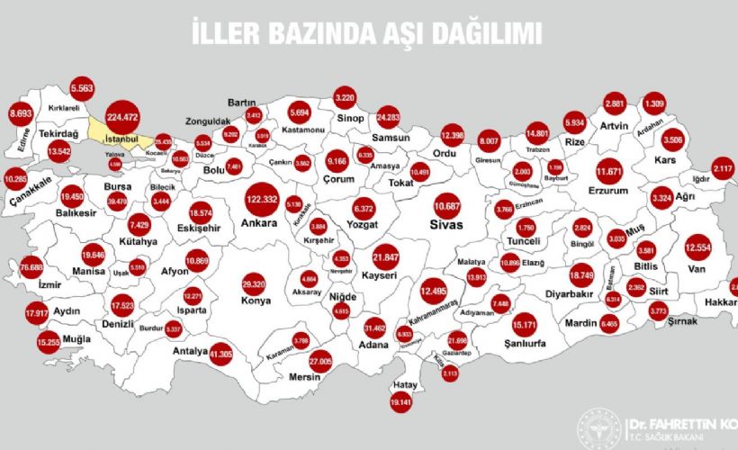 Türkiye'nin aşı haritası | Hangi şehirde kaç kişi aşı oldu?