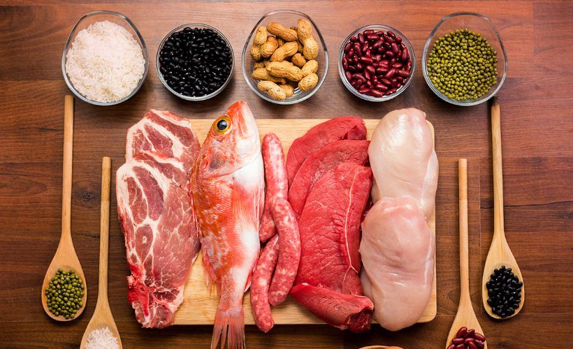 Proteinlerin genel özellikleri nelerdir? Protein neden gereklidir?