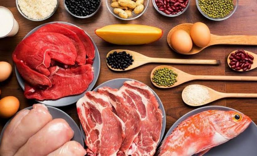Protein içeren besinler nelerdir?