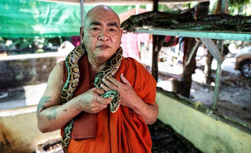 Myanmarlı keşiş, manastırı yılan sığınağına dönüştürdü