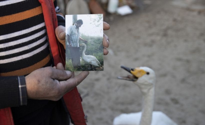 Postacının kuğusu 'Garip' ile 37 yıllık dostluğu