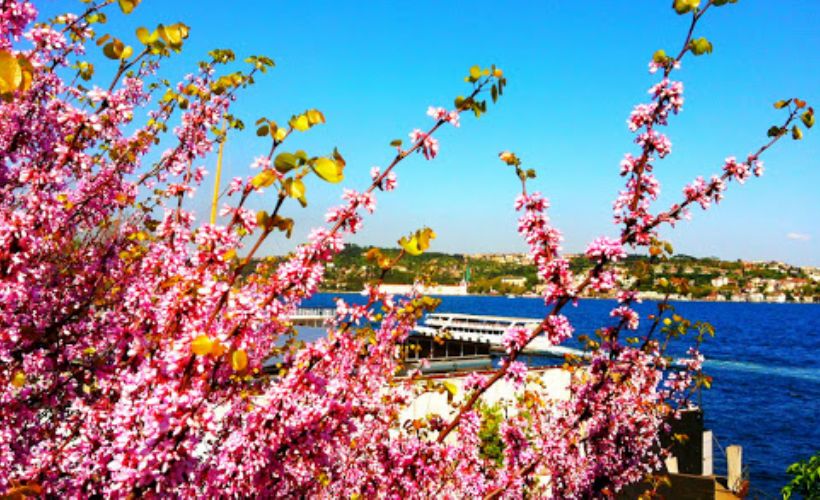 İlk cemre ne zaman düşecek? 2021 cemre tarihleri