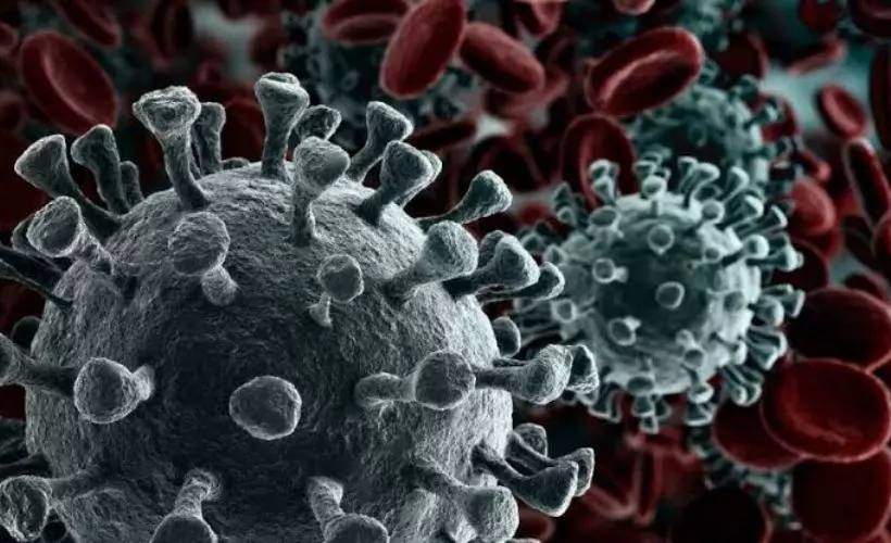 Koronavirüs mutasyona uğradı mı? Mutasyon nedir?