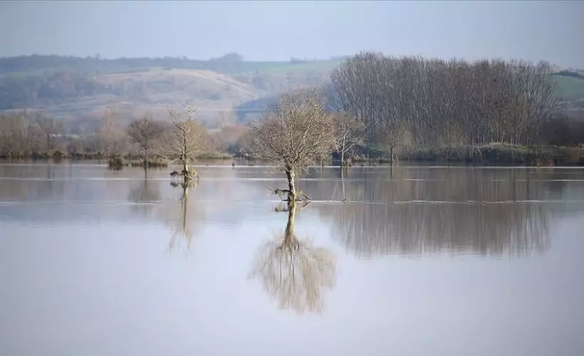 Ergene Nehri'nin taşması sonucu tarım arazileri su altında kaldı