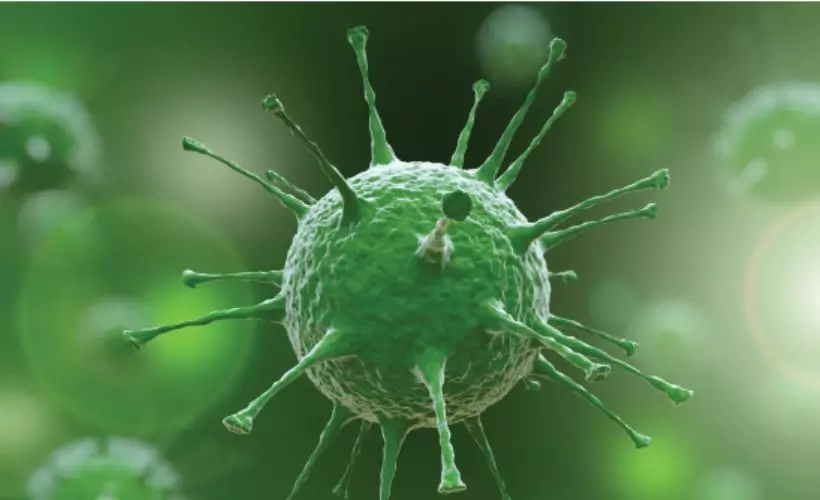 Mutasyonlu virüs hangi illerde görüldü? Hızla yayılan virüs korkutuyor!