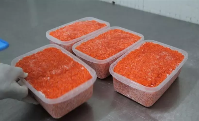 Fırat havyarına Avrupa'dan yoğun talep