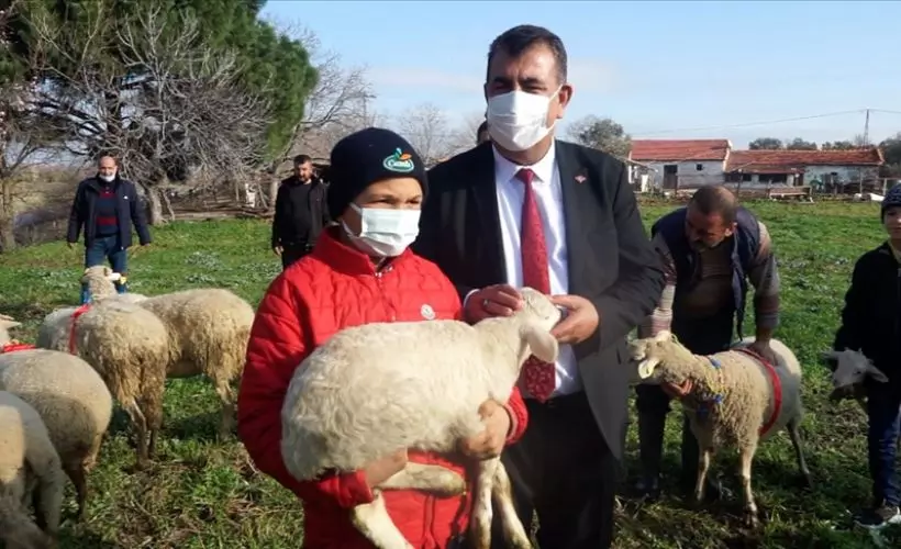 TÜDKİYEB, sosyal medyada ünlenen küçük çoban Şevki'yi ödüllendirdi