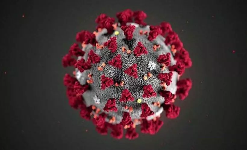 Mutasyonlu varyant nedir? Güney Afrika ve Brezilya varyantı öldürücü mü?