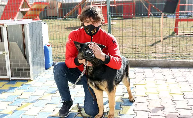 Duyarlı köpek eğitmeni, afetlerde görev yapacak 'hassas burunları' gönüllü yetiştiriyor