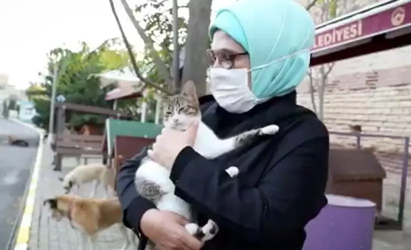 Emine Erdoğan'dan sokak hayvanlarına ilişkin paylaşım