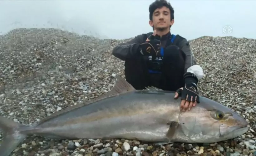 Lise öğrencisinin oltayla kıyıdan tuttuğu 42 kilogramlık balık şaşırttı