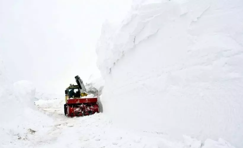 Muş'ta 6 metre karla zorlu mücadele! Kardan tüneller oluşuyor
