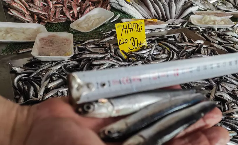Hamsi fiyatları, av yasağının kalkmasıyla yeniden düştü