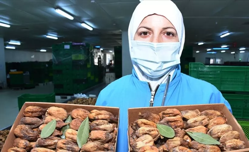 Kuru incir üreticileri 2021'den umutlu