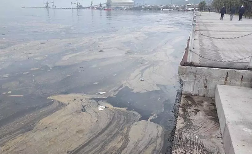 İzmit Körfezi'nde kirliliğin nedeni ne? Siyah tabaka kimyasal atık mı?