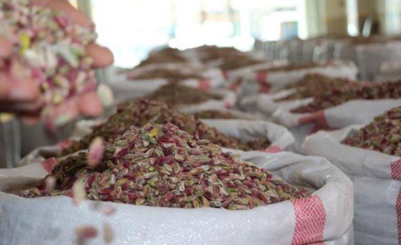 Gastronomi kentinden fıstık gibi müjde