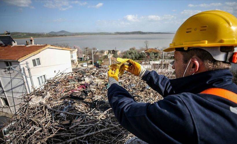 ‘Leylek Köyü’nde göçten dönecek leylekler için hazırlıklar başladı