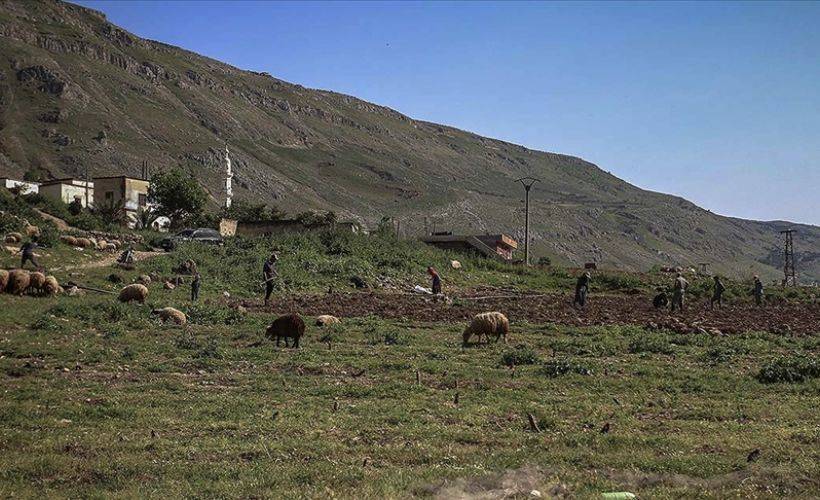 Esed rejimi, İdlib ve Hama'daki çiftçilere ait arazilere el koydu