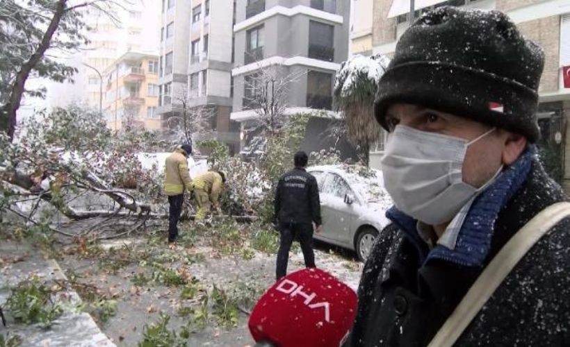 Kadıköy'de otomobillerin üzerine ağaç devrildi
