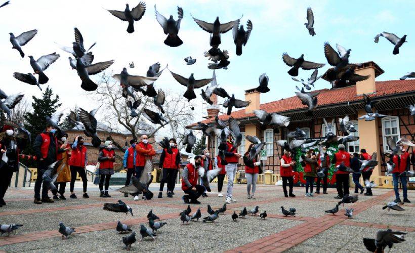 Hayvan sevgisine yasak yok