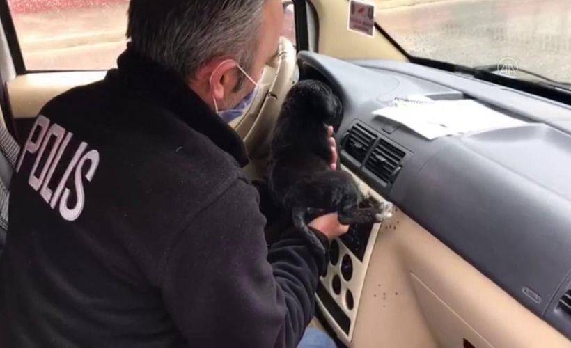 Üşüyen köpek yavrusunu Sakarya polisi ısıttı