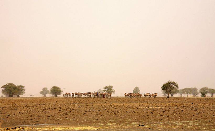 Çad'ın güneyinde çobanlarla çiftçiler çatıştı, 35 kişi öldü