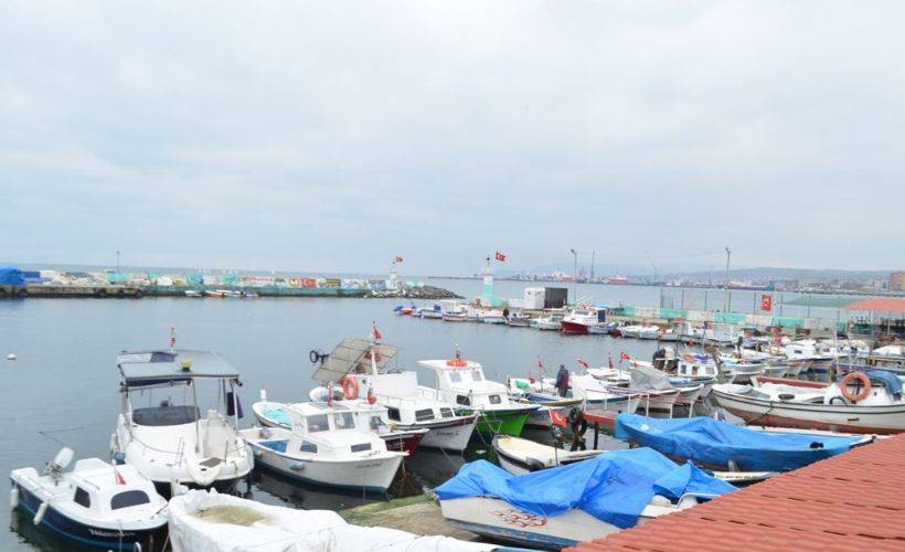 Marmara’da balıkçıların korkulu rüyası 10 yıl sonra geri döndü