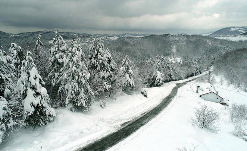 Zonguldak'ta ormanlarda seyrine doyumsuz manzara