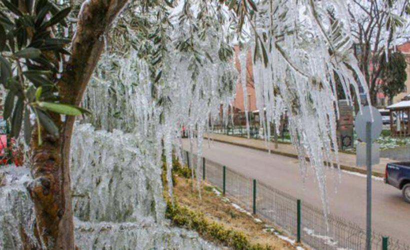 Hortumundan fışkıran su, ağaçlarda sarkıt oluşturdu