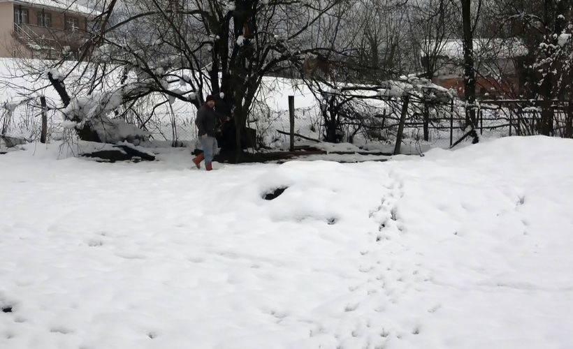 Köye inen kurtlar, 13 koyunu parçaladı