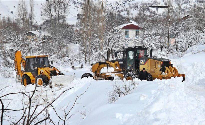 Kar kaplanlarının zorlu mücadelesi sürüyor