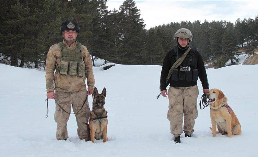 Teröristlerin izini süren komandoların 'keskin burunlu' yardımcıları: 'Tatya' ve 'Hızar'