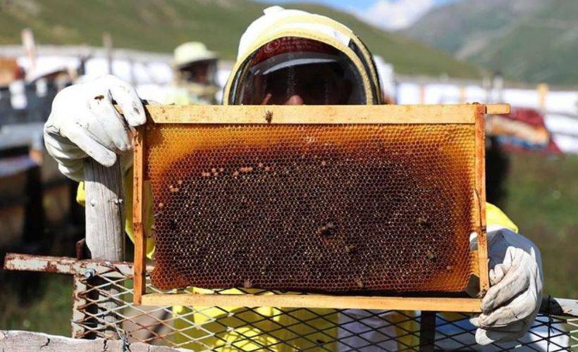 Dünyaca ünlü Anzer balı 'coğrafi işaret tescili' aldı