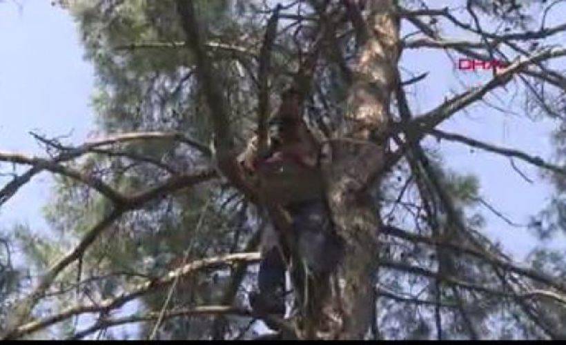 Bodrum'da intihara kalkışan kişiyi polis ve bacanağı kurtardı