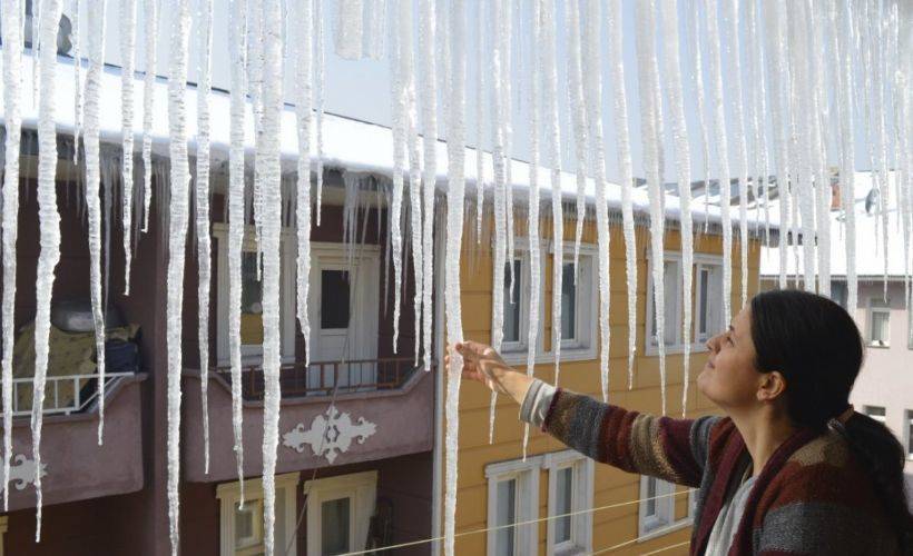 Daha önce yere dökülüyordu, şimdi kilosu 100 TL'den satılıyor