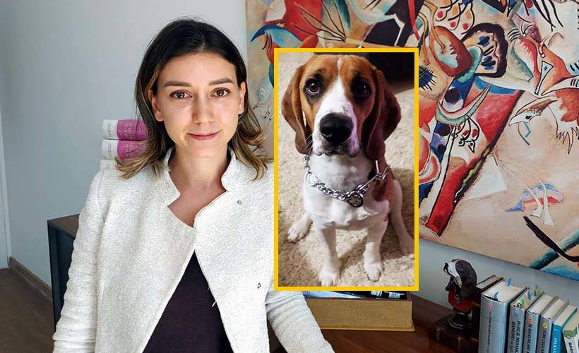 Murphy' i otomobiliyle çarparak, öldüren doktor tazminat ödeyecek