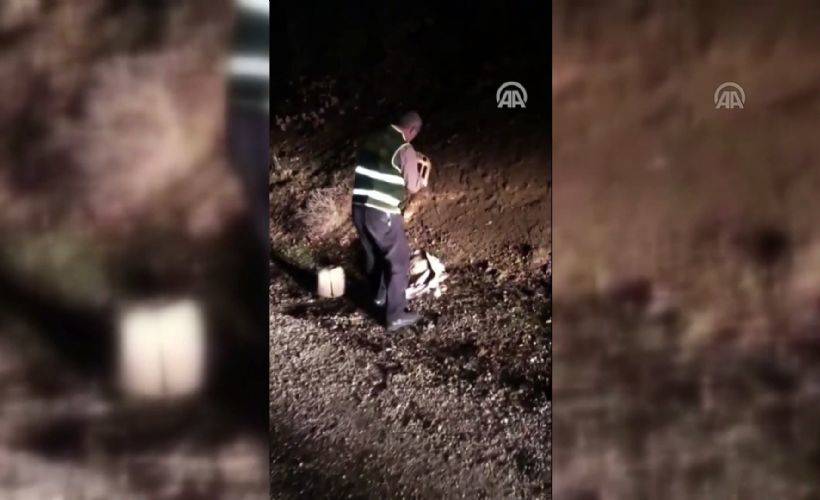 Elazığ'da kaçak avcıların yakaladığı keklikler doğaya bırakıldı