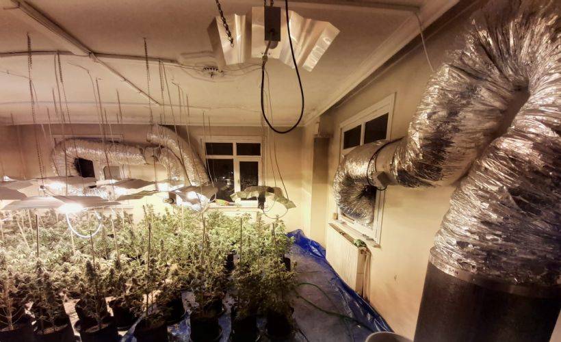 Çatı katındaki serada 1 milyon TL değerinde uyuşturucu ele geçirildi