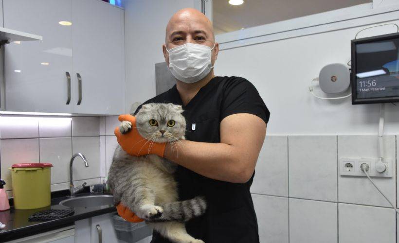 Evcil hayvanlara pasaport ve mikroçip zorunluluğu getirildi