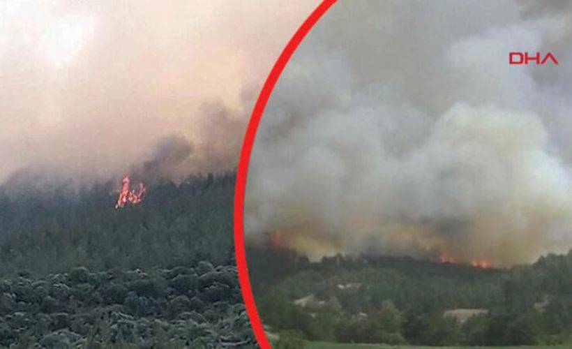 Kütahya'da orman yangını