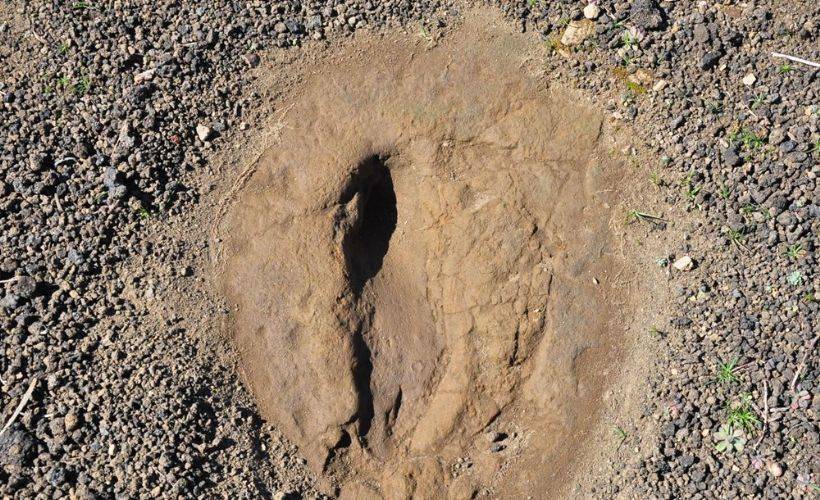 Manisa'da 5 bin yıllık ayak izi: Yeri gizli tutuluyor