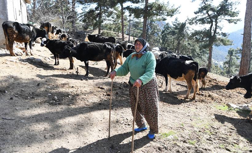 70 yaşındaki Fatma teyze 62 yıldır çobanlık yapıyor