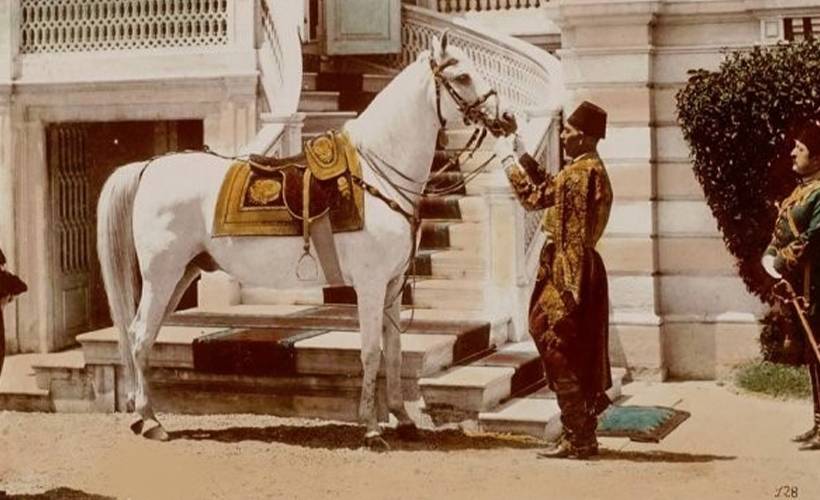 Sultan Abdûlhamîd'in Beyaz Küheylânı Ferhân'ın ilginç özellikleri...