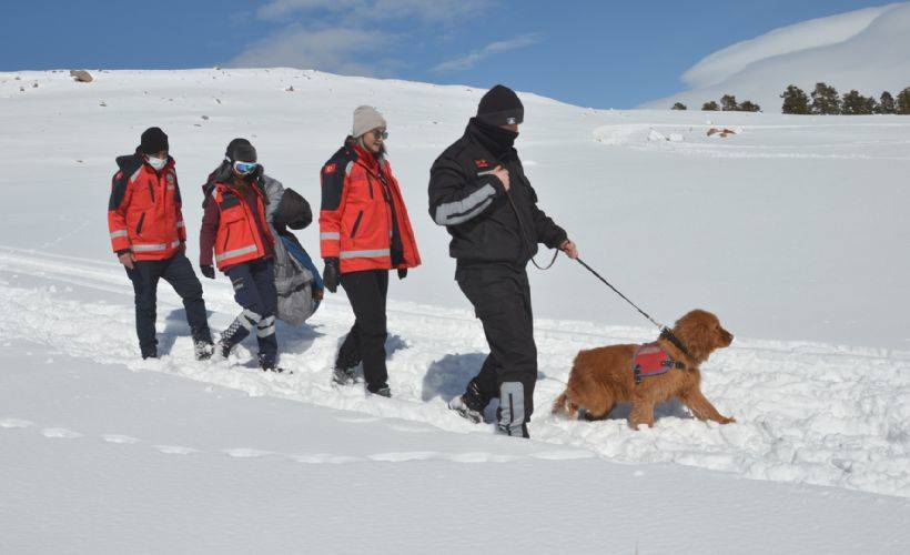 Jandarmanın çetin kışta arama ve kurtarmadaki keskin burnu: 'Şov'