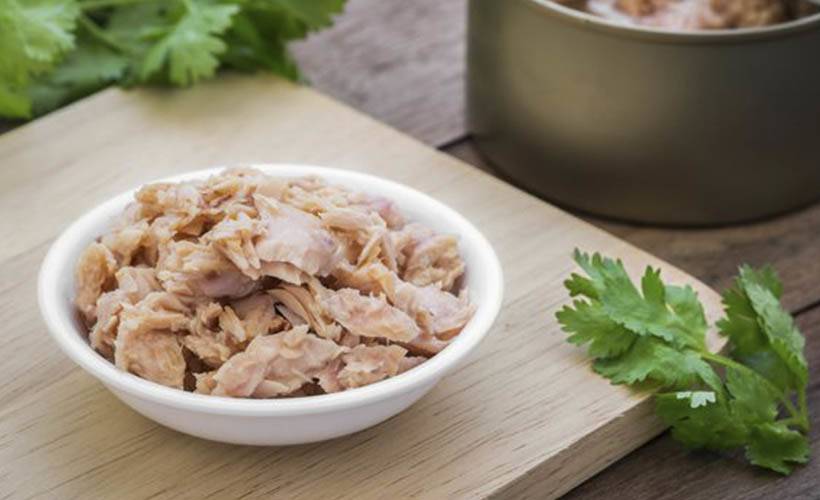 Ton balığı ile yoğurt yenir mi? Ton balıklı sandiviçle ayran içilir mi?