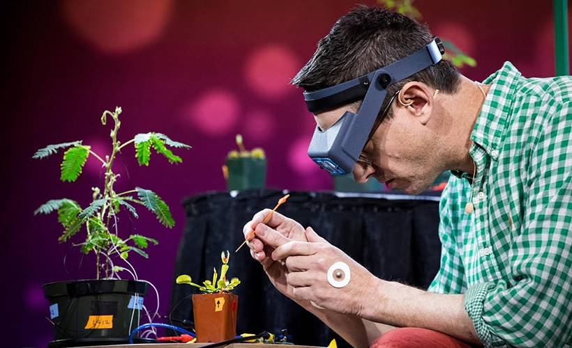 Araştırma: Bitkiler ile insanlar arasında iletişim sağlamak mümkün